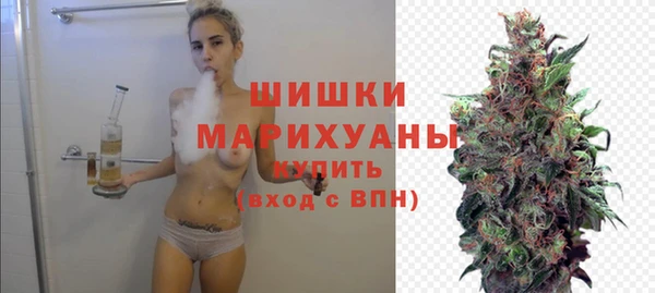 прущий лед Богданович