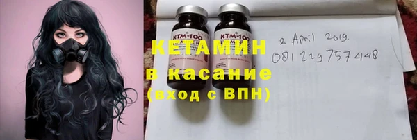 дмт Бородино