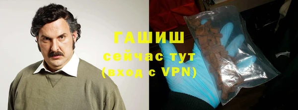 дмт Бородино