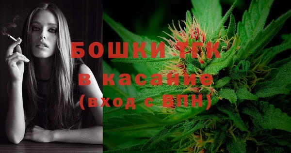 прущий лед Богданович