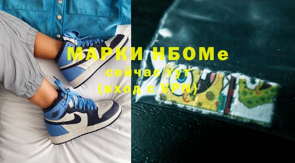 прущий лед Богданович