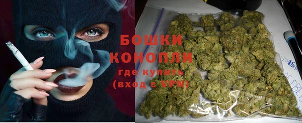 дмт Бородино