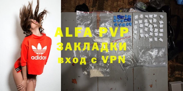прущий лед Богданович