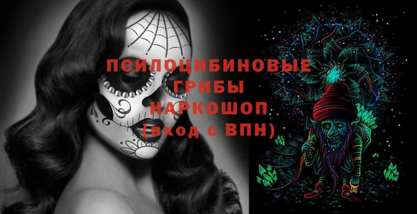 прущий лед Богданович