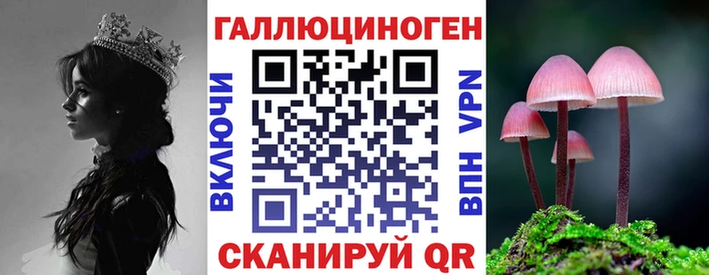 маркетплейс телеграм  Сретенск  Галлюциногенные грибы Cubensis 